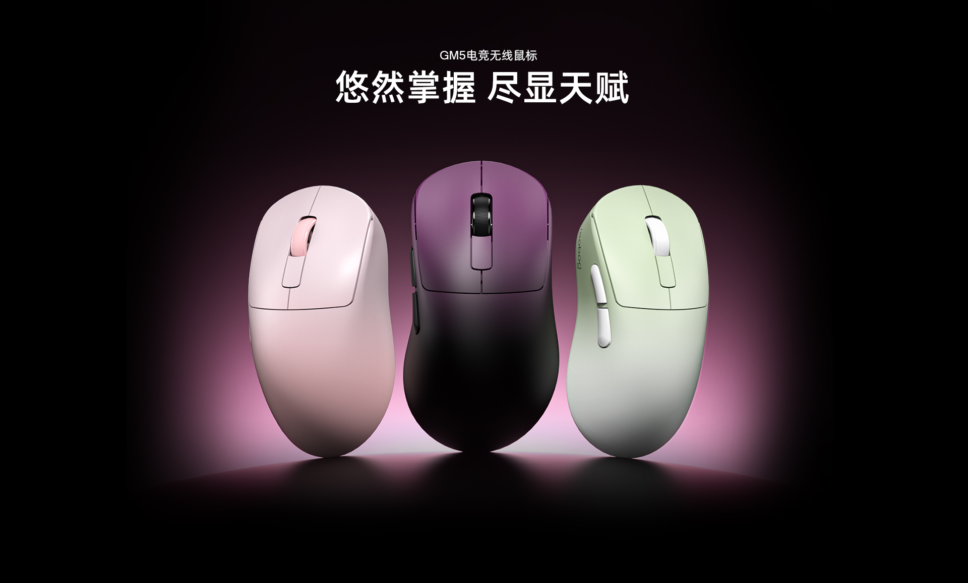 GM5（images 1）