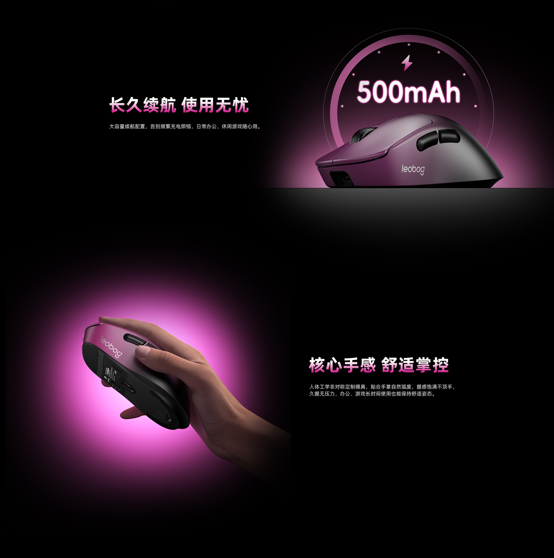 GM5（images 6）